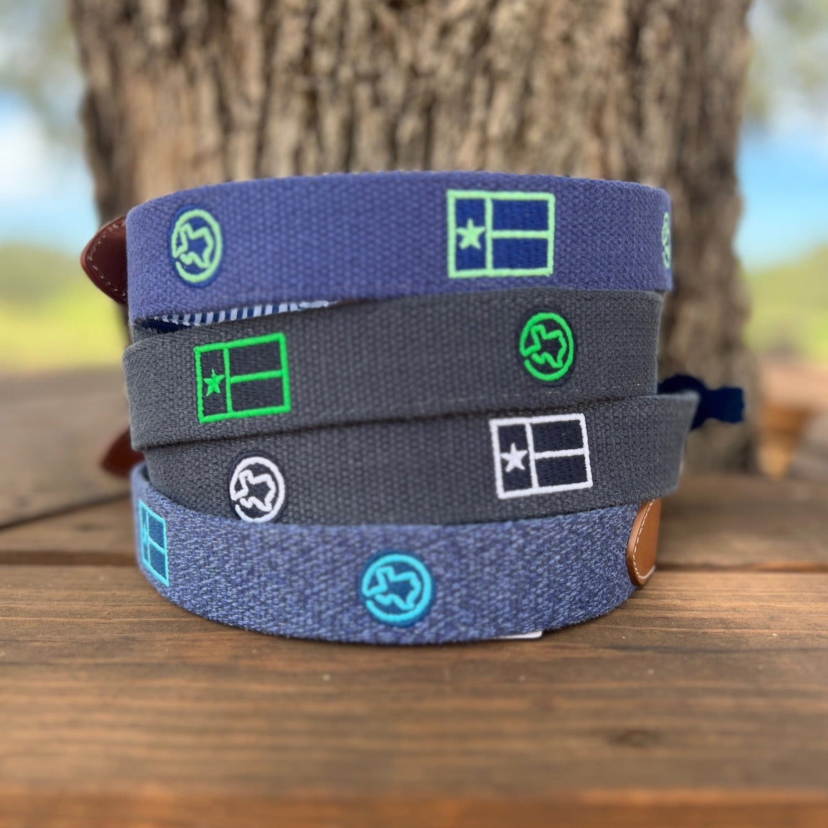 Texas Embroidered Belt