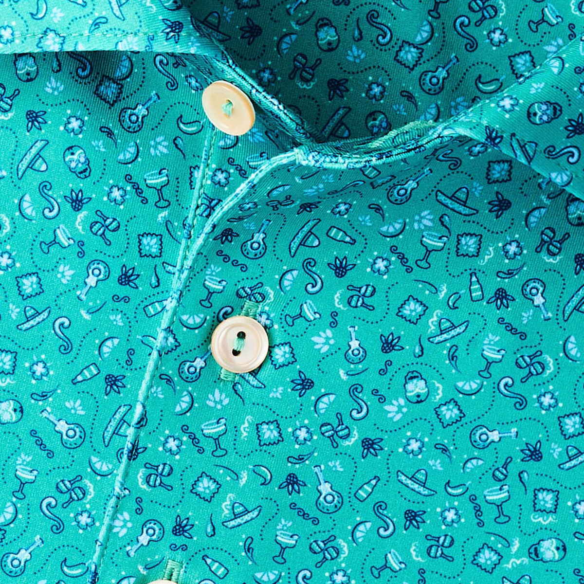 Peter Millar Day Of The Dead Performance - Meadow